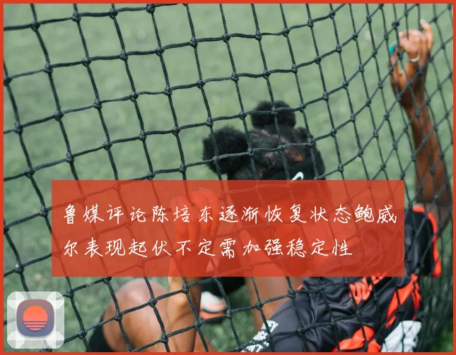 鲁媒评论陈培东逐渐恢复状态鲍威尔表现起伏不定需加强稳定性